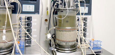 In Vitro Monoclonal Image