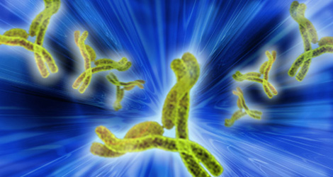 MONOCLONAL_IMAGE_ALT