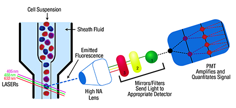 sheath fluid leinco technologies