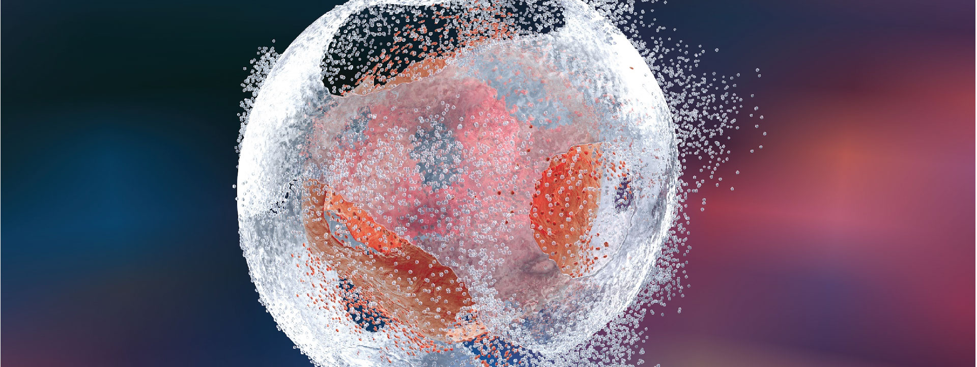 About Cell and Tissue Lights Banner-13 Cell destruction by Cell Lysis