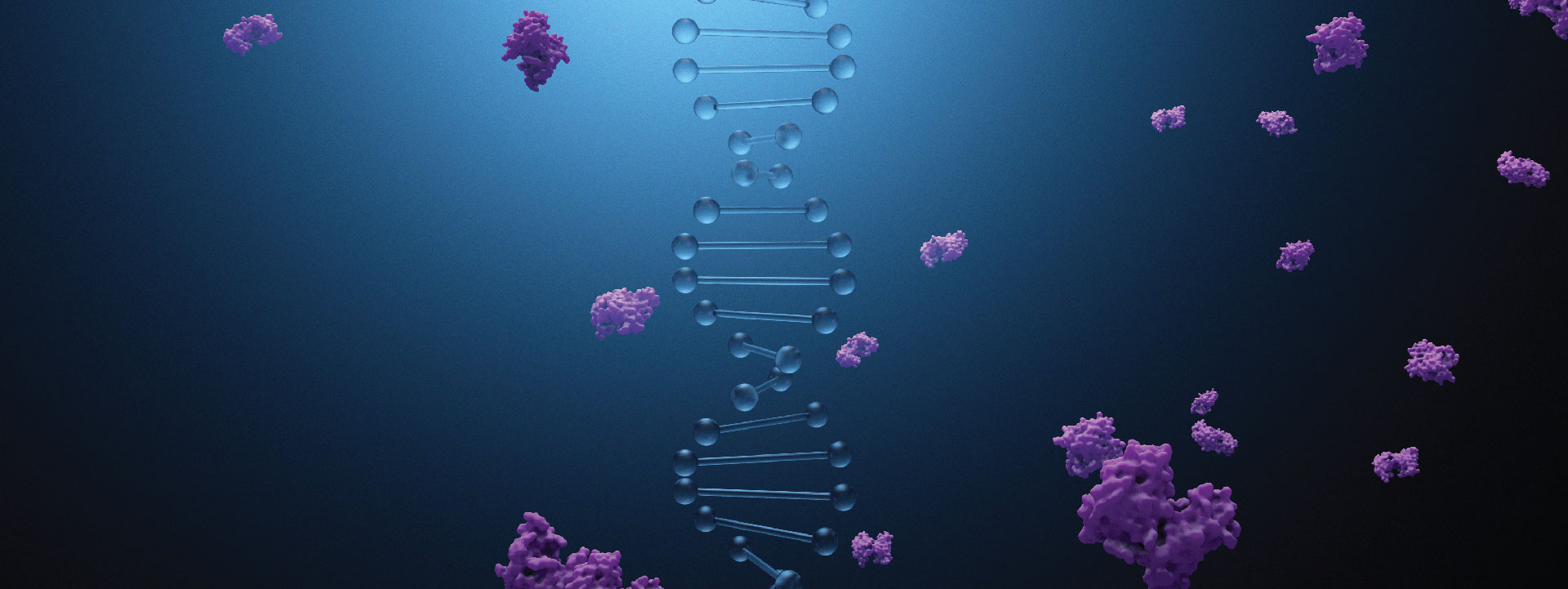 molecular model of DNA strand encoding proteins