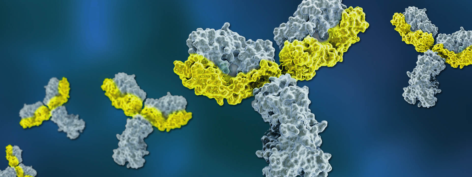 GoldPlat-Banner Molecular Model of Bulk In Vivo Gold and Platinum Functional Grade Antibodies