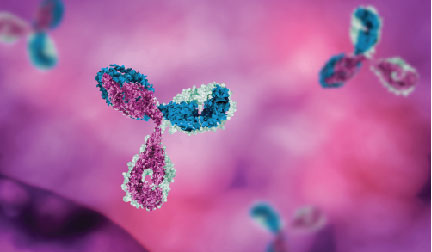 3D rendering of molecular model of an antibody on a pink background