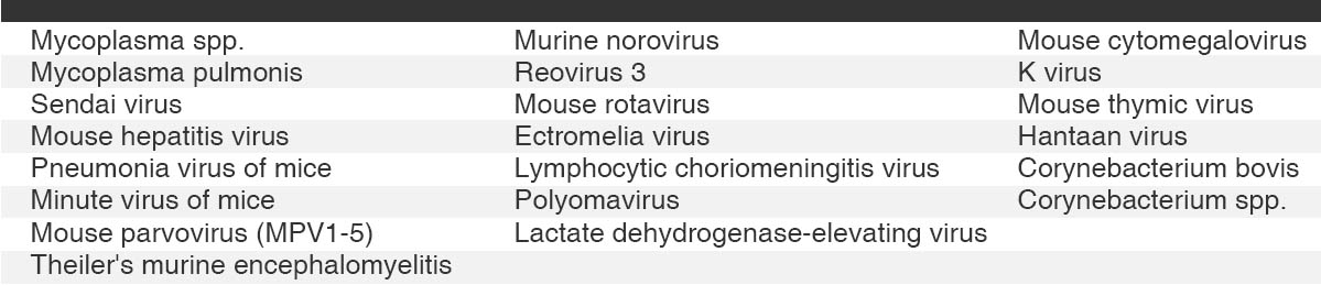 IDEXX IMPACT I (PCR-based) Mouse Pathogen