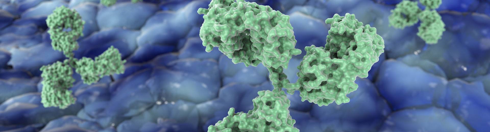 Biosimilar home banner-01 Biosimilar antibodies and cell