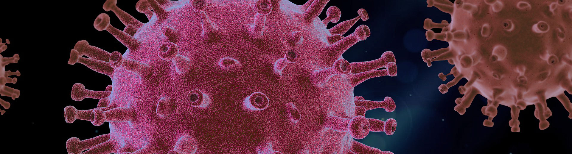 COVID-19 virus rendering