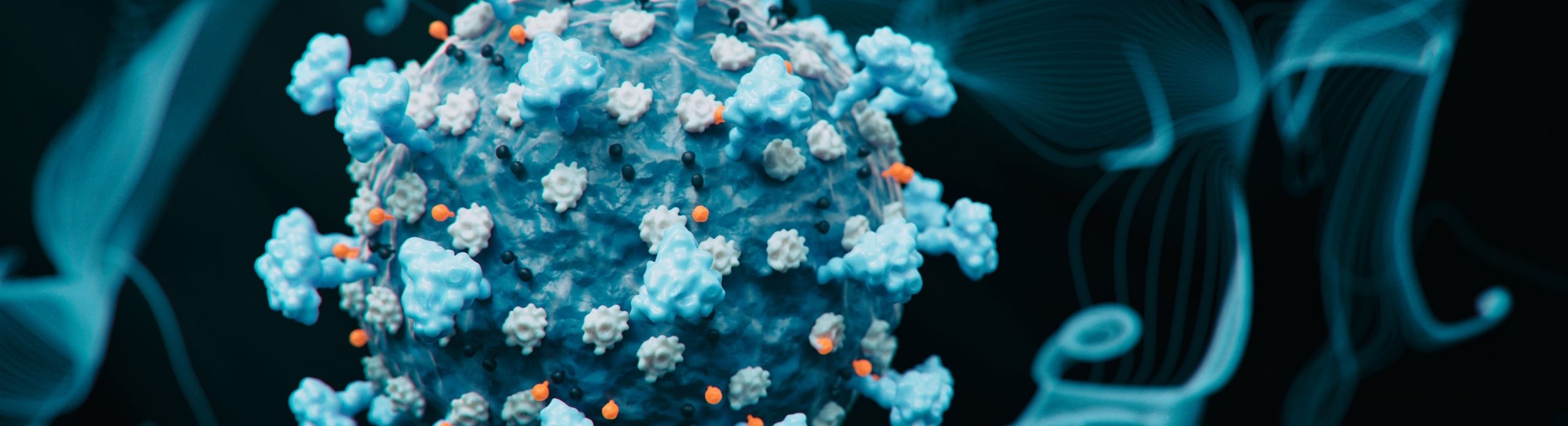 SARS-CoV-2 Neutralizing Test, White Paper, ELISA Assay