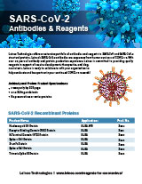 SARS-CoV-2 Antibodies and Reagents