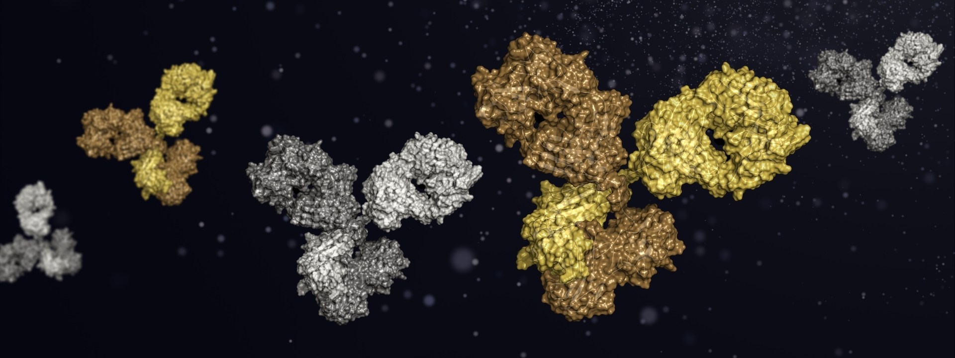 In Vivo Functional Grade Antibodies In Vivo Functional Grade Antibodies