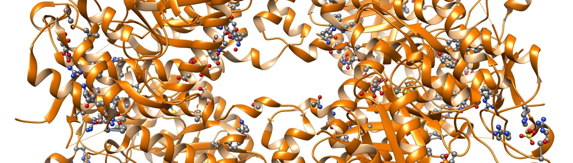Recombinant Protein Services Banner Model of Protein Molecule, biological particle