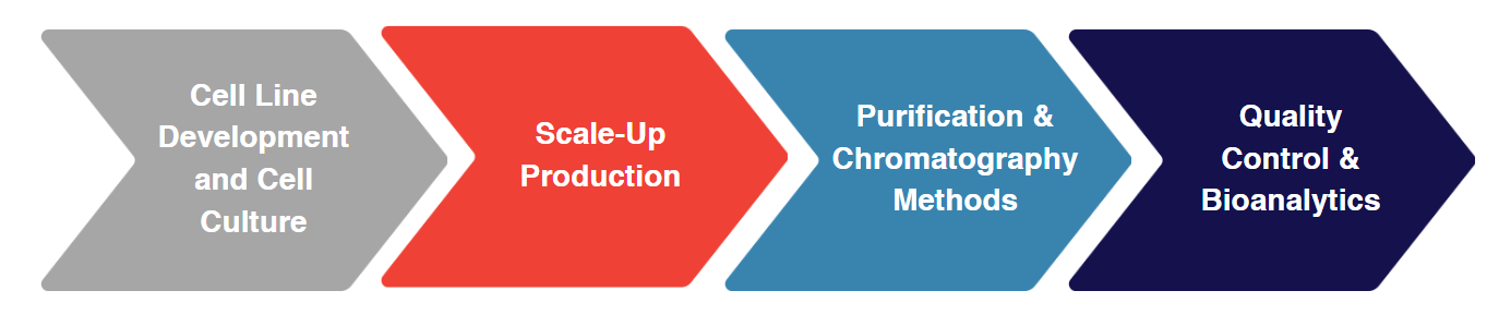 IVD production process IVD production process