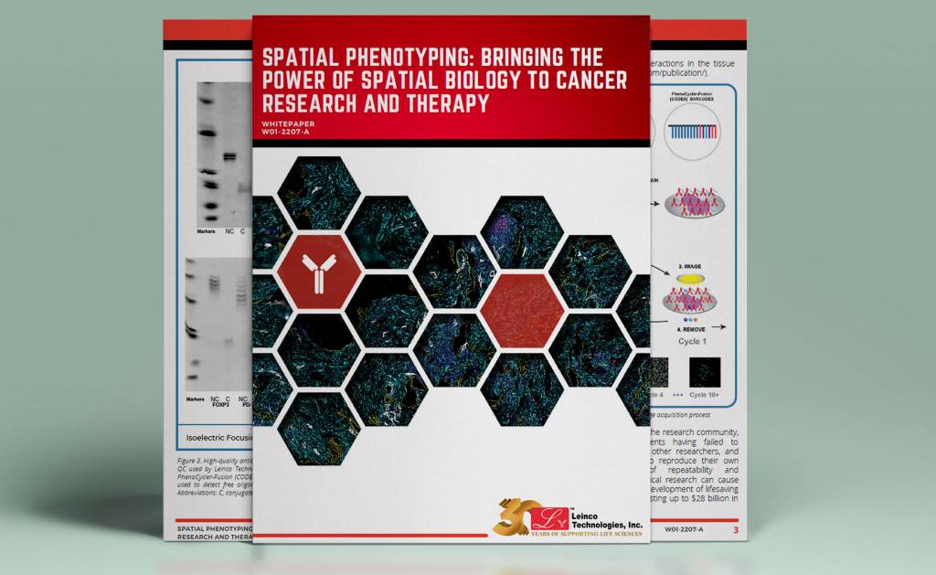 Spatial Biology Whitepaper mockup