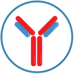 antibody icon