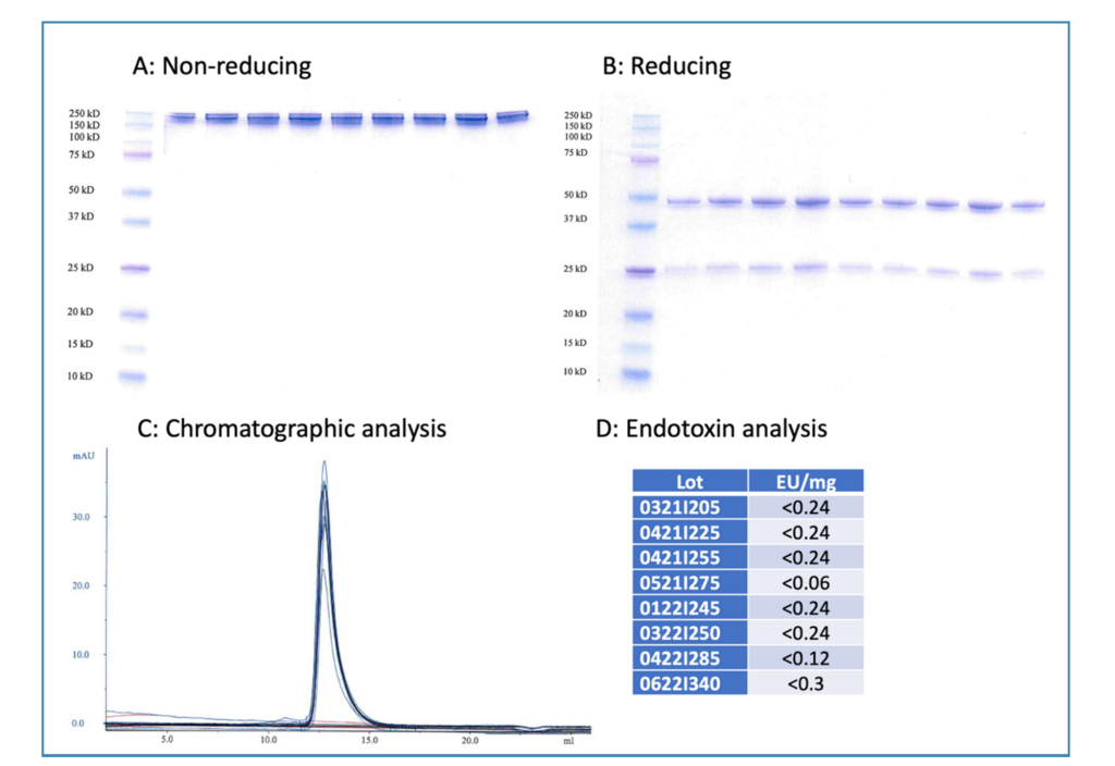 Leinco in vivo antibodies