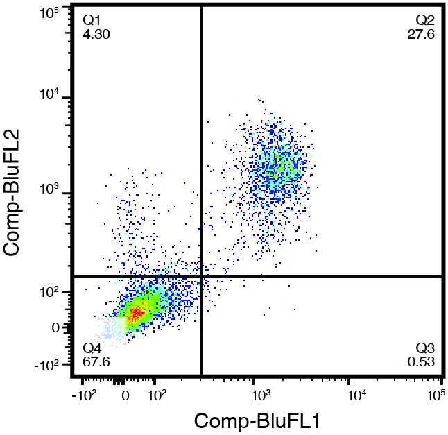 Immunophenotyping data image