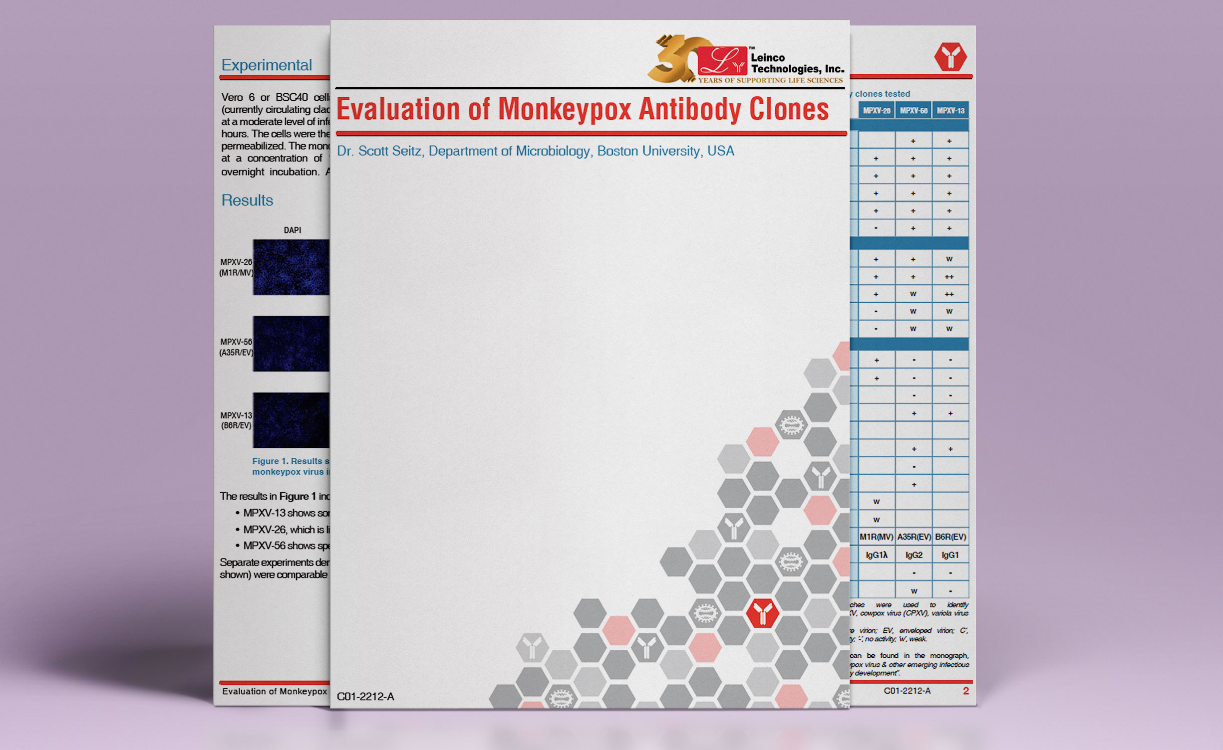 monkeypox case study