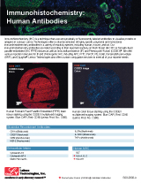 Immunohistochemistry-Antibodies-Human sell sheet Preview