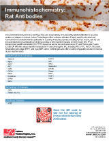 Immunohistochemistry-Antibodies-Rat Sell Sheet Preview