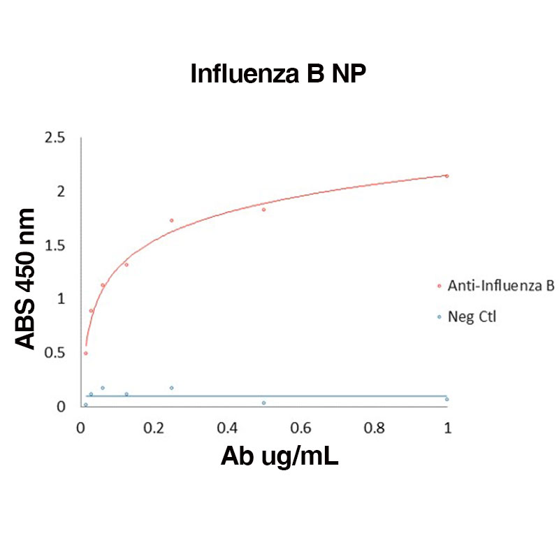 F658 Influenza-B-NP Direct Binding Data