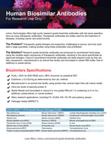 Biosimilar Antibodies