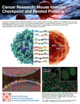 Cancer Research: Mouse Immune Checkpoint and Related Proteins