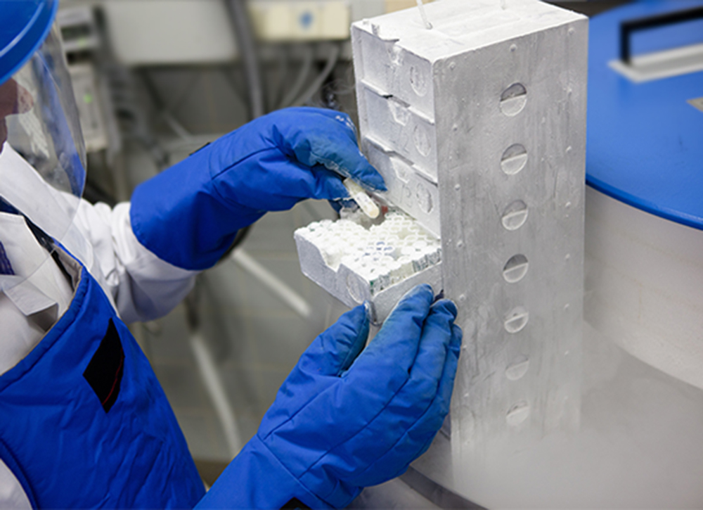 frozen cell storage
