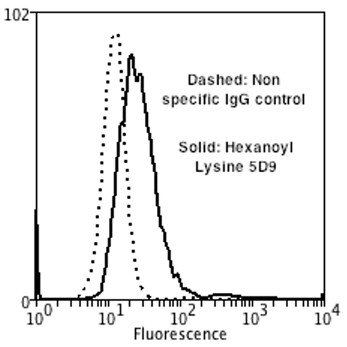 Flow Cytometry analysis using Mouse Anti-Hexanoyl-Lysine adduct Monoclonal Antibody, Clone 5D9 . Tissue: Neuroblastoma cells (SH-SY5Y). Species: Human. Fixation: 90% Methanol. Primary Antibody: Mouse Anti-Hexanoyl-Lysine adduct Monoclonal Antibody at 1:50 for 30 min on ice. Secondary Antibody: Goat Anti-Mouse: PE at 1:100 for 20 min at RT. Isotype Control: Non Specific IgG. Cells were subject to oxidative stress by treating with 250 µM H2O2 for 24 hours.