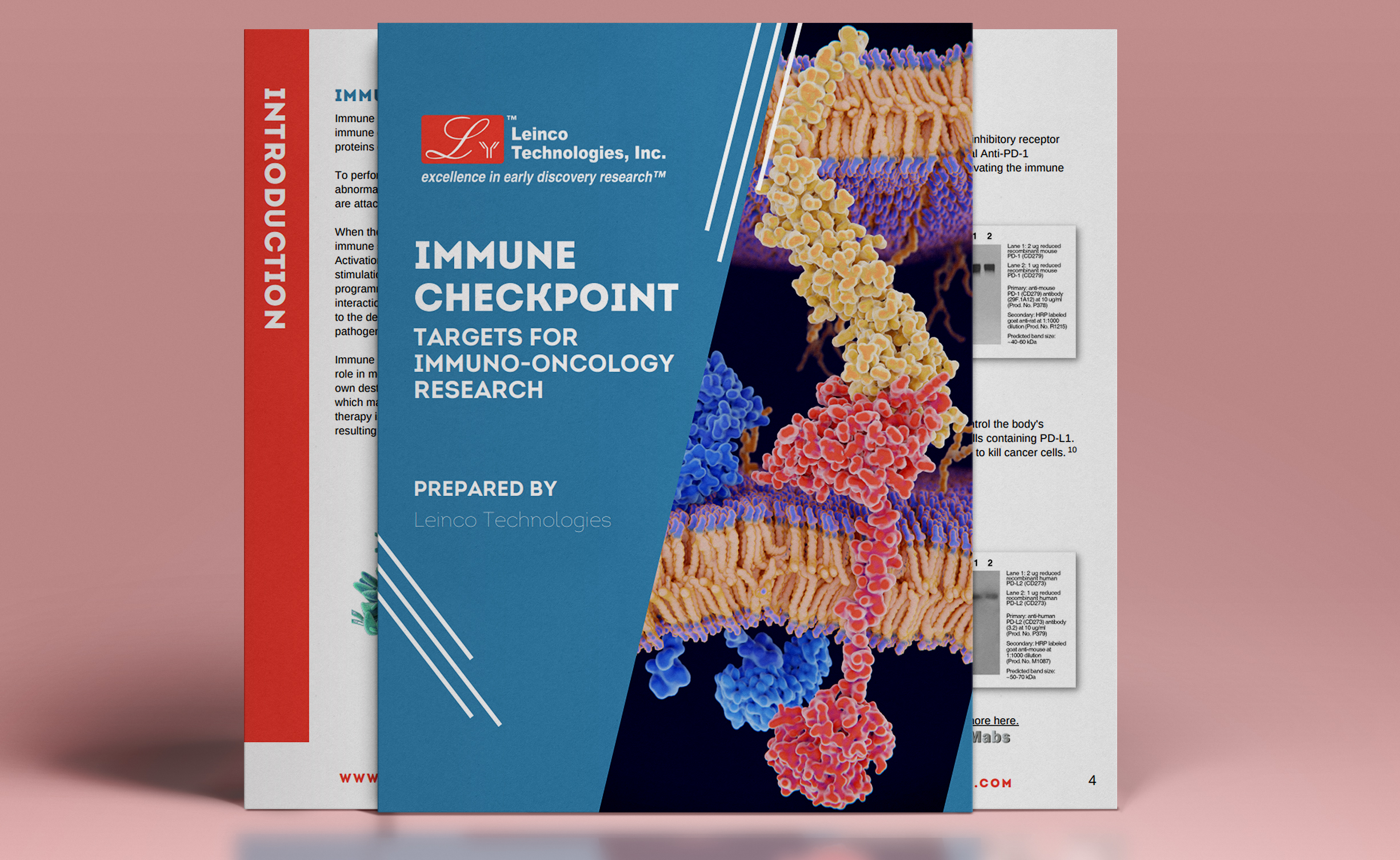 immune checkpoint ebook