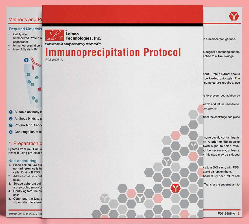 Immunoprecipitation Protocol Document