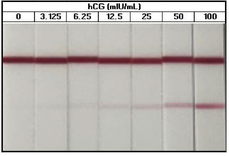 A set of seven lateral flow assay (LFA) strips shows the detection of hCG. From left to right, the hCG concentration increases, with the test line becoming progressively darker while the control line remains consistently strong
