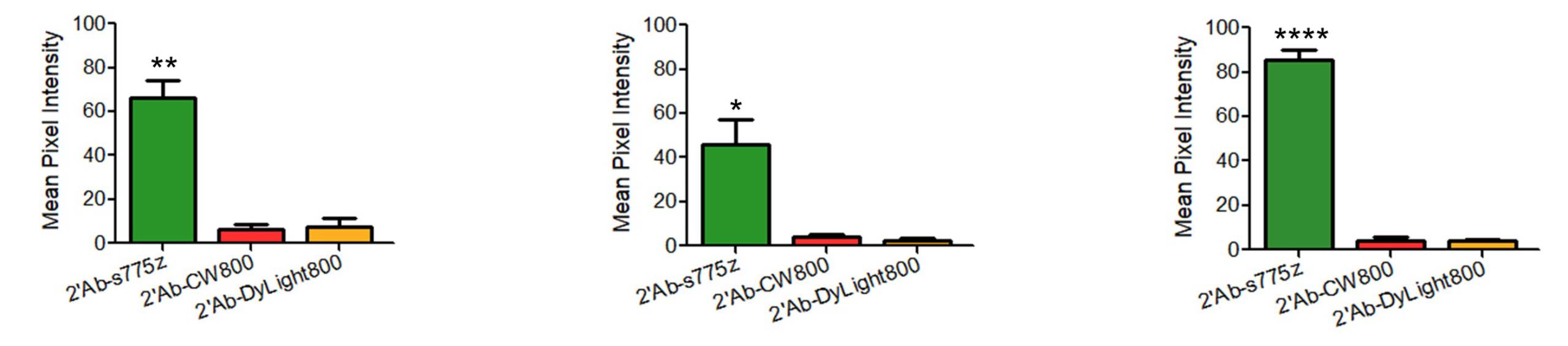Immunocytochemistry Brightness Comparison – s775z – bargraphs