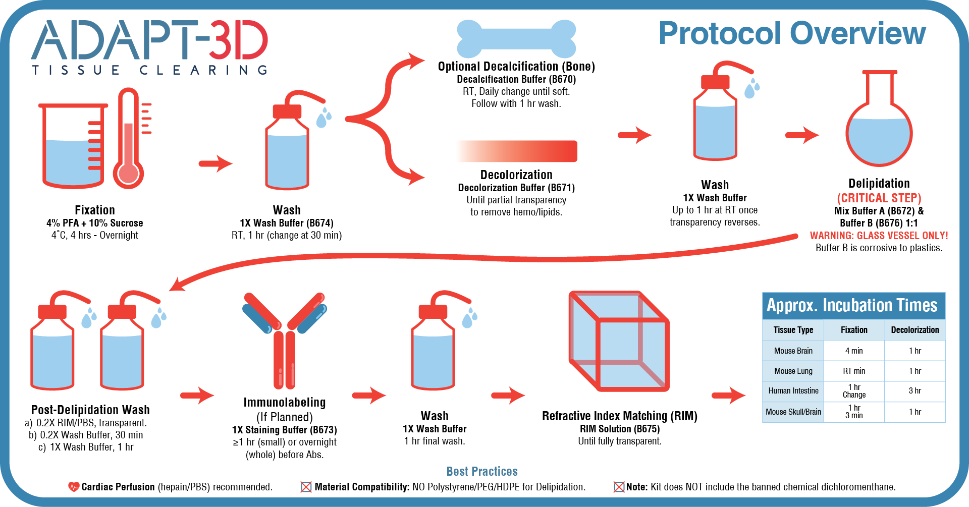 Leinco ADAPT-3D Tissue Clearing Kit Protocol Overview