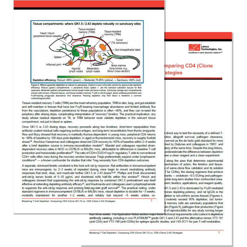 CD4vsCD8 whitepaper preview-02