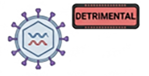 2.43 - Infection Parasite [DETRIMENTAL]- Loss of viral clearance (LCMV, SIV); CD4-dependent infections preserved.