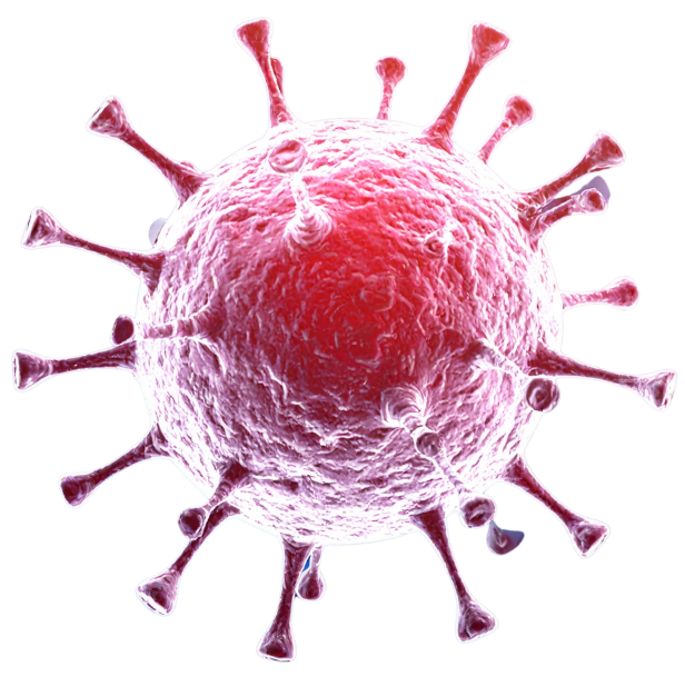 Wirus cell
