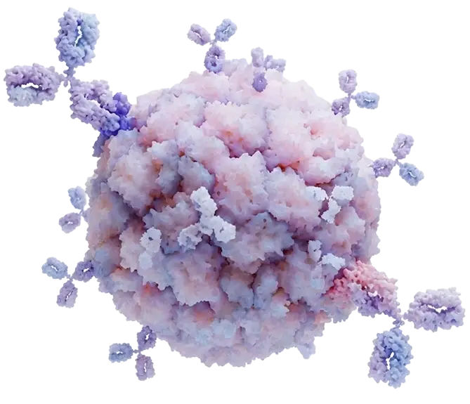 img-antigen