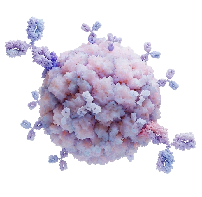 img-antigen