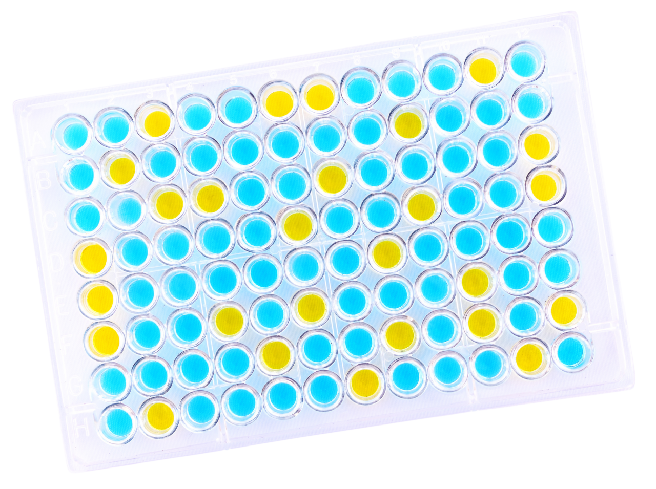 Colored ELISA plate